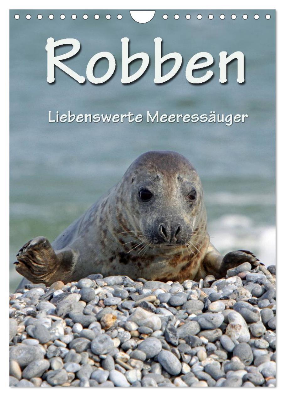 Cover: 9783457085769 | Robben (Wandkalender 2025 DIN A4 hoch), CALVENDO Monatskalender | Berg