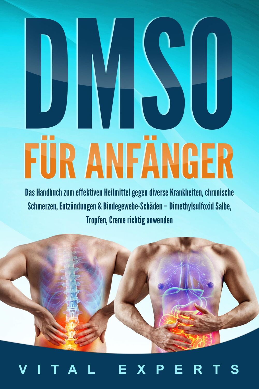 Cover: 9783989370920 | DMSO für Anfänger: Das Handbuch zum effektiven Heilmittel gegen...