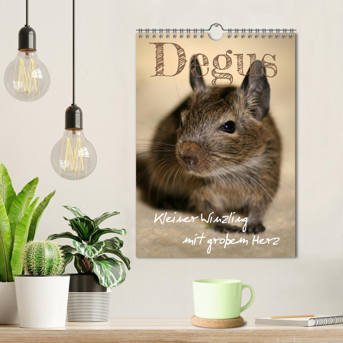 Bild: 9783435865277 | Degus - Winzlinge mit großem Herz (Wandkalender 2025 DIN A4 hoch),...