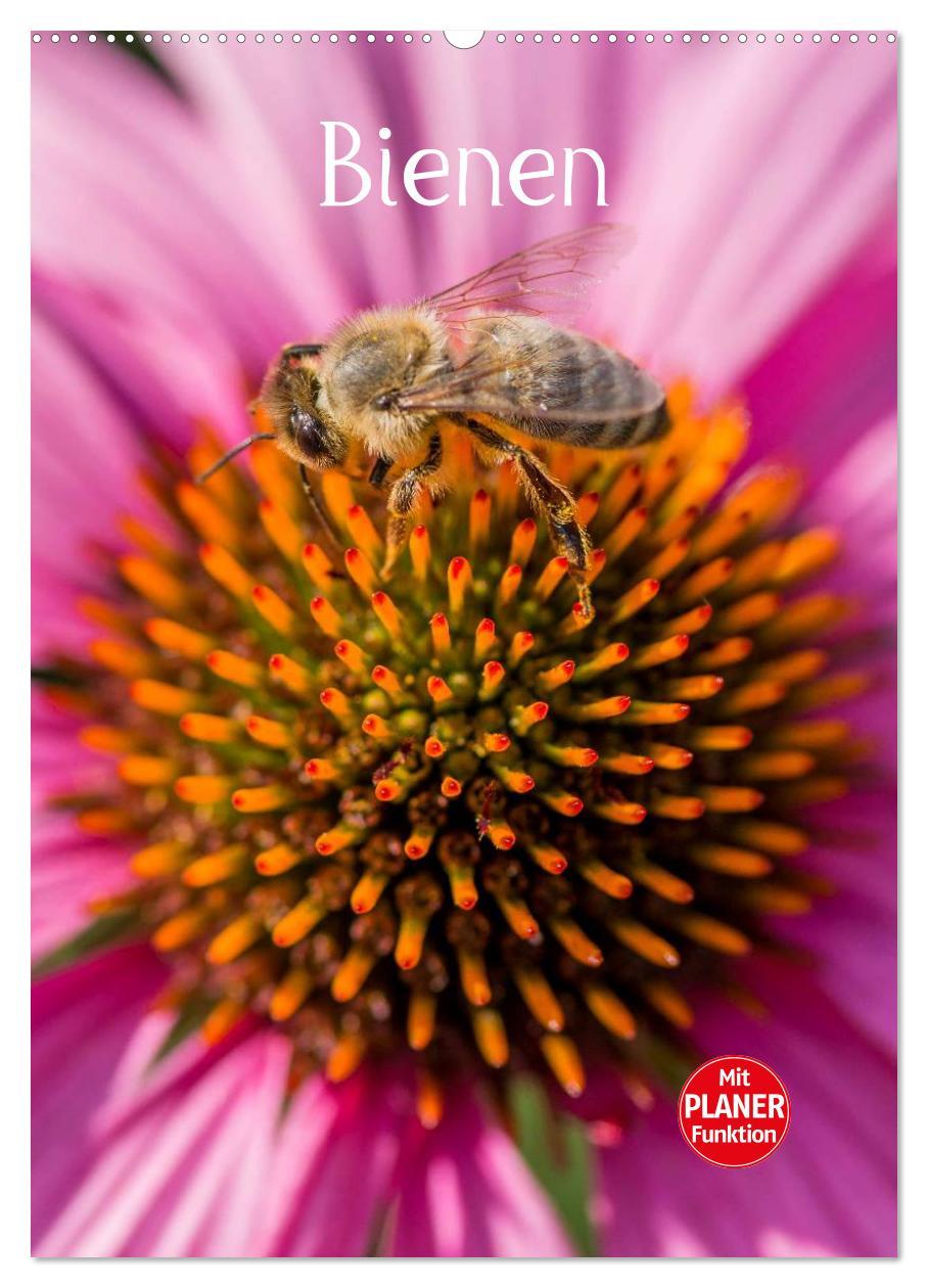 Cover: 9783457051443 | Bienenplaner (Wandkalender 2025 DIN A2 hoch), CALVENDO Monatskalender