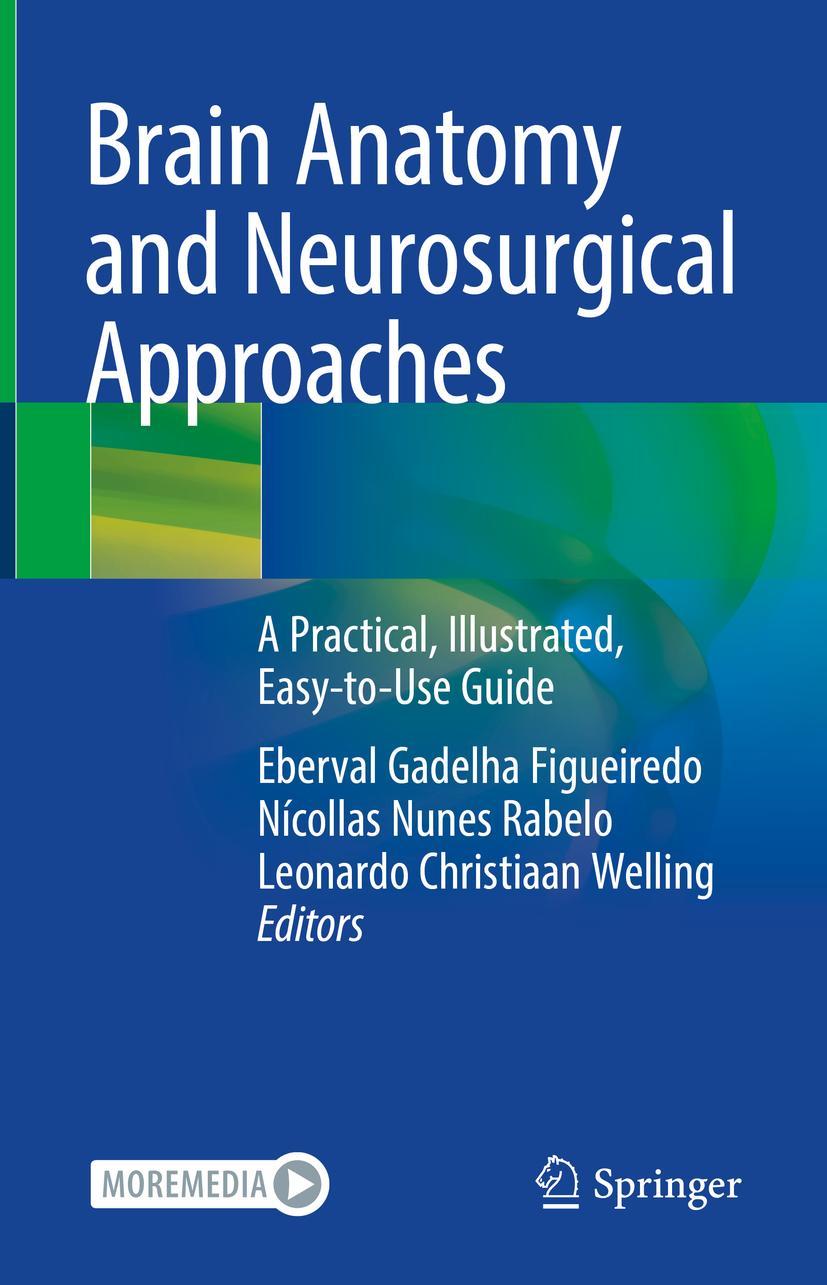 Cover: 9783031148194 | Brain Anatomy and Neurosurgical Approaches | Figueiredo (u. a.) | Buch