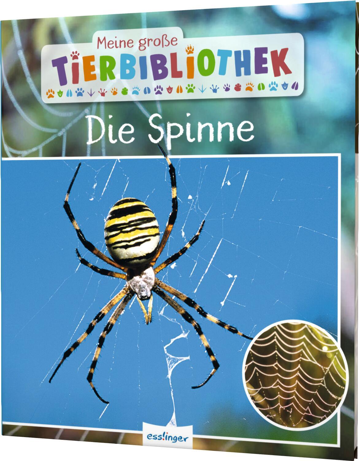 Cover: 9783480237128 | Meine große Tierbibliothek: Die Spinne | Jens Poschadel | Buch | 32 S.