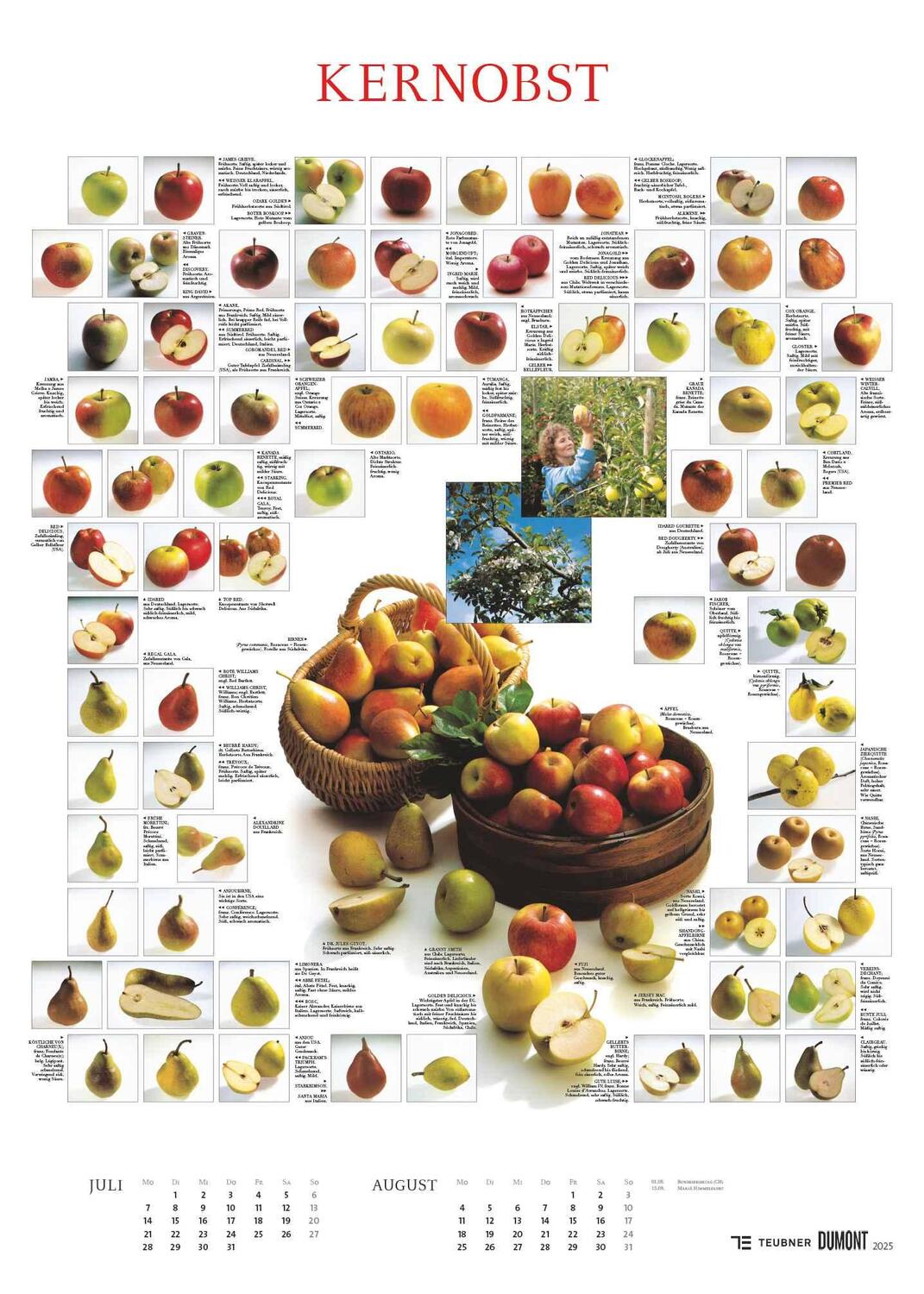 Bild: 4250809652887 | Food 2025 - Bildkalender 50x70 cm - mit kurzen Beschreibungen zu...