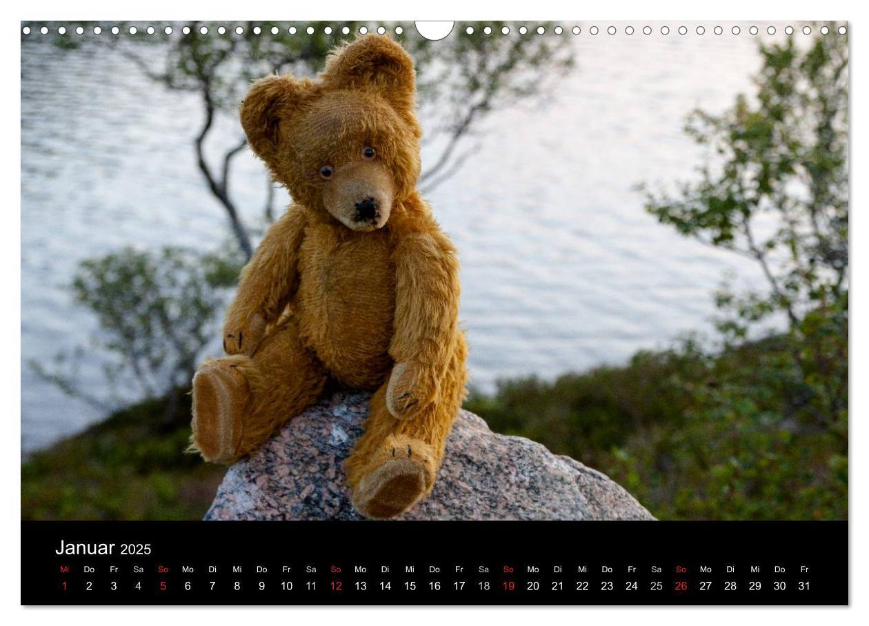 Bild: 9783435674084 | Teddy Basse, Fortsetzung... (Wandkalender 2025 DIN A3 quer),...