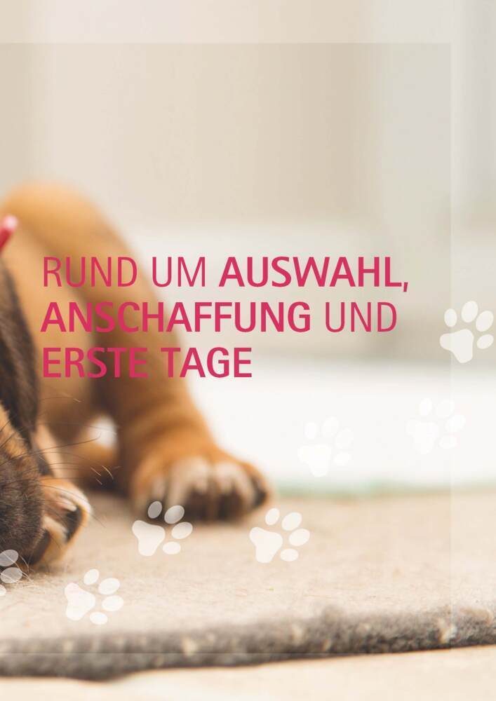 Bild: 9783275022441 | Ein Hund und 1000 Fragen | Basics für frischgebackene Hundehalter