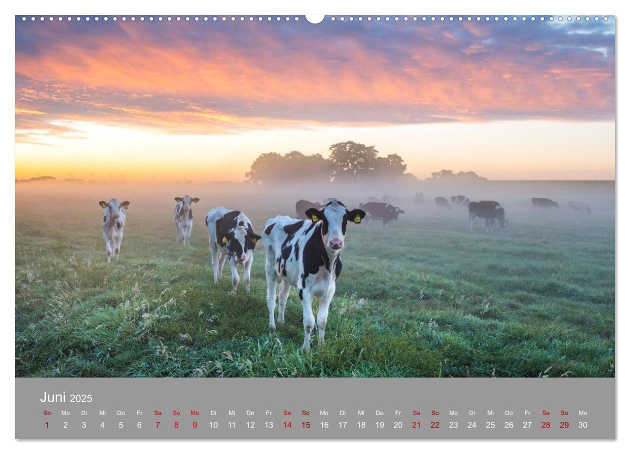 Bild: 9783435018833 | Ostfrieslandmomente 2025 (Wandkalender 2025 DIN A2 quer), CALVENDO...