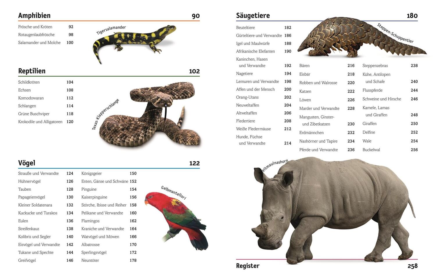 Bild: 9783831026982 | Tiere | Säugetiere, Vögel, Fische, Reptilien und Insekten | Buch