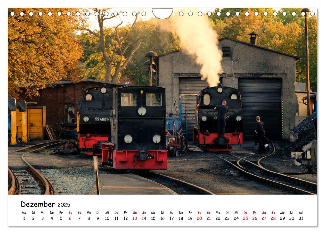 Bild: 9783383932014 | Rügens "rasender Roland" (Wandkalender 2025 DIN A4 quer), CALVENDO...