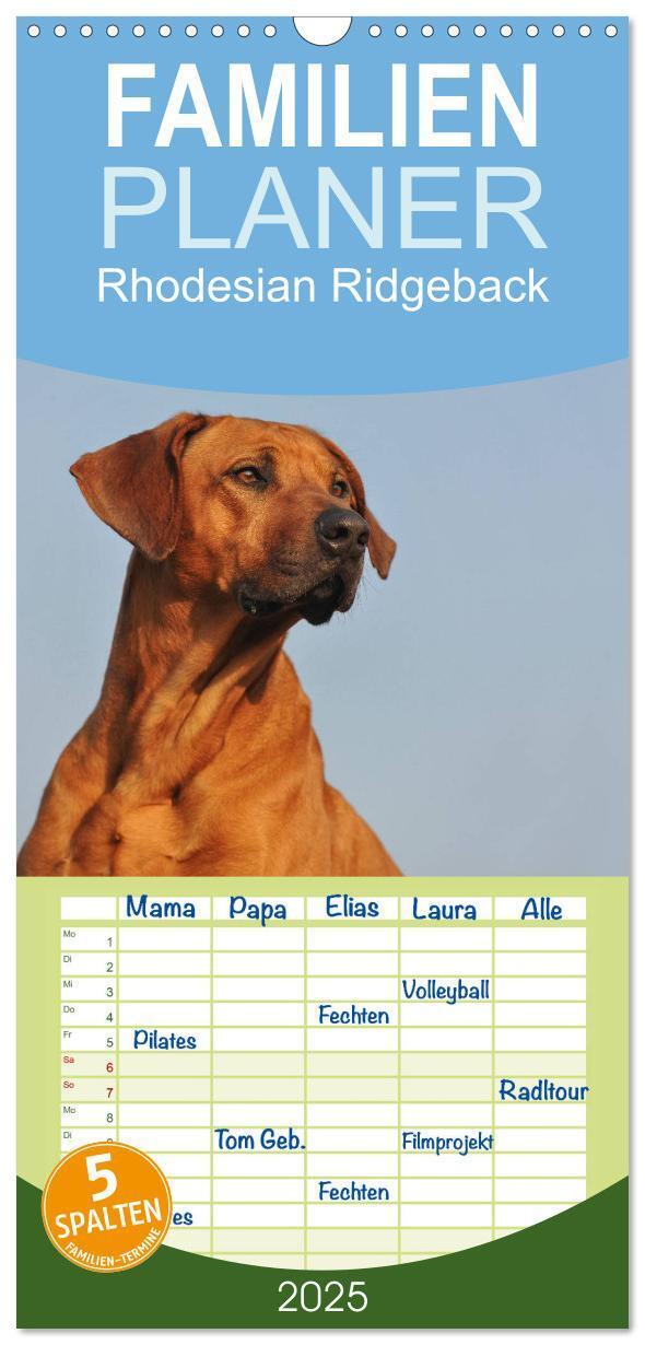 Cover: 9783457119228 | Familienplaner 2025 - Rhodesian Ridgeback 2025 mit 5 Spalten...