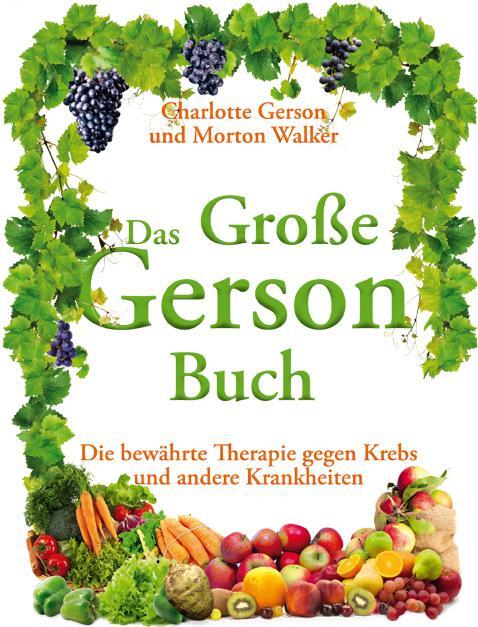 Cover: 9783981409840 | Das Große Gerson Buch | Charlotte Gerson (u. a.) | Buch | 612 S.