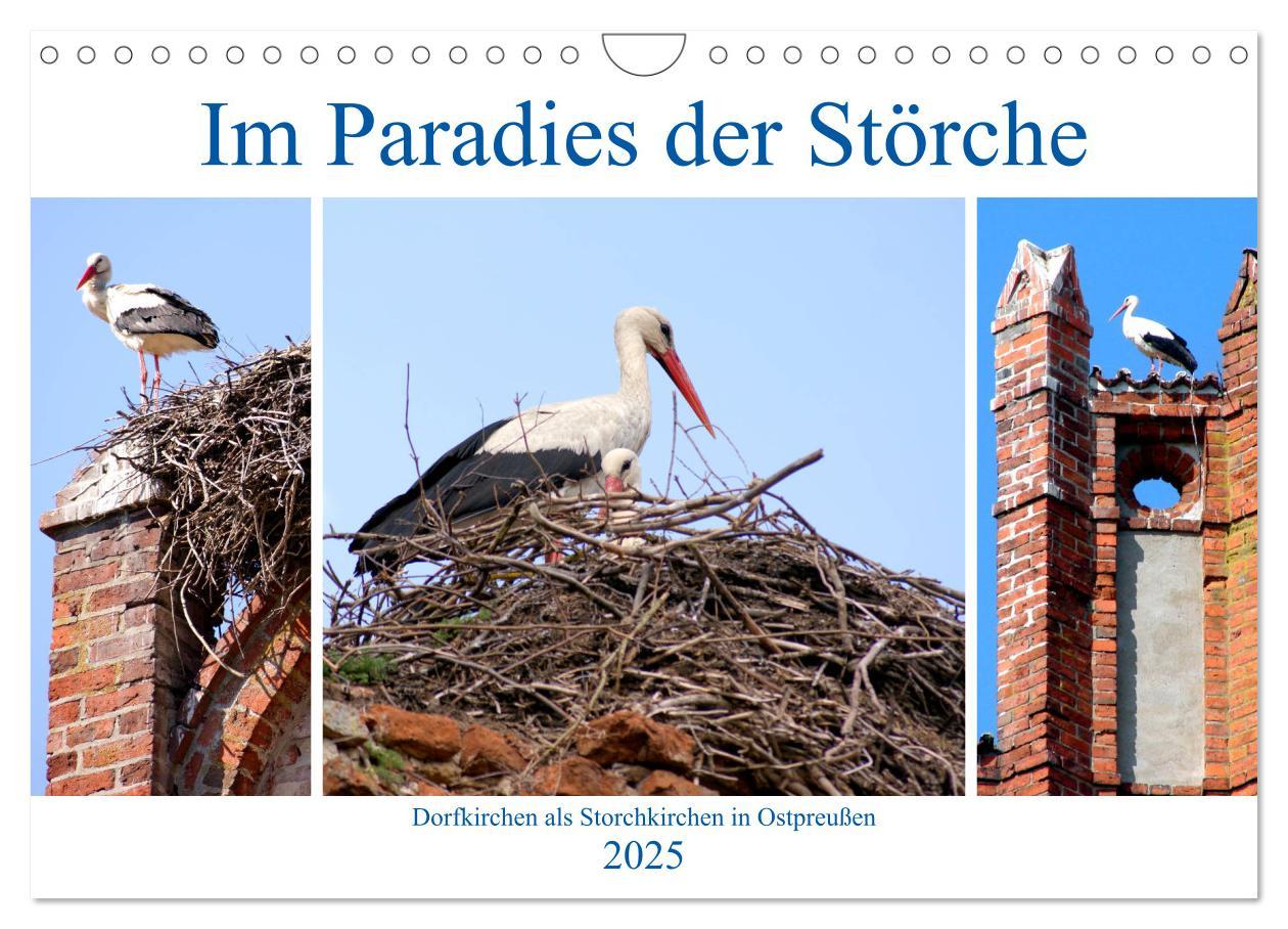 Cover: 9783435217083 | Im Paradies der Störche - Dorfkirchen als Storchkirchen in...