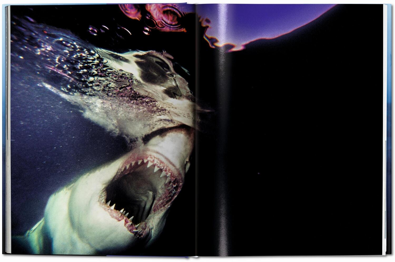 Bild: 9783836553599 | Michael Muller. Sharks | Philippe Cousteau (u. a.) | Buch | 334 S.