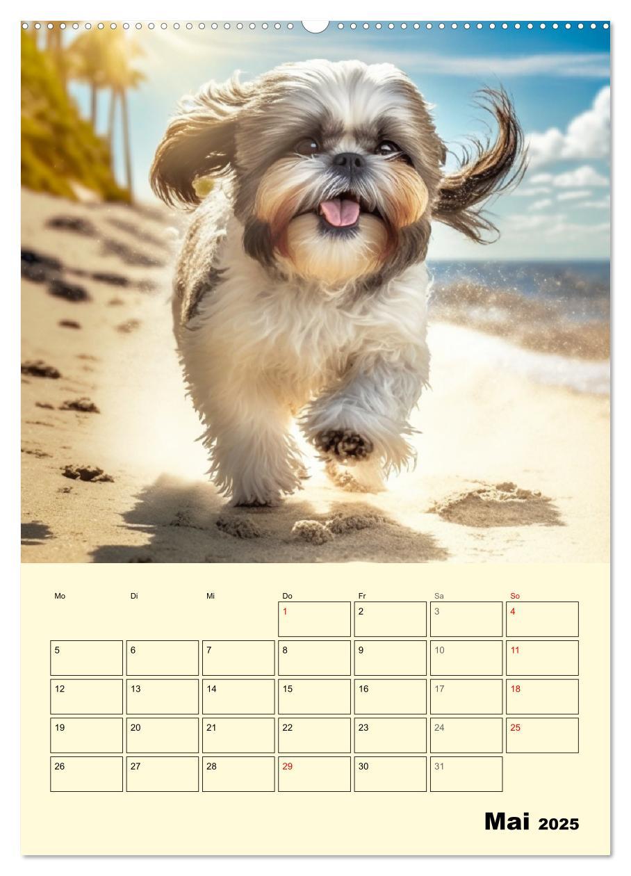 Bild: 9783435874101 | Shih Tzu Alarm. Glückliche Wuschelköpfe (Wandkalender 2025 DIN A2...