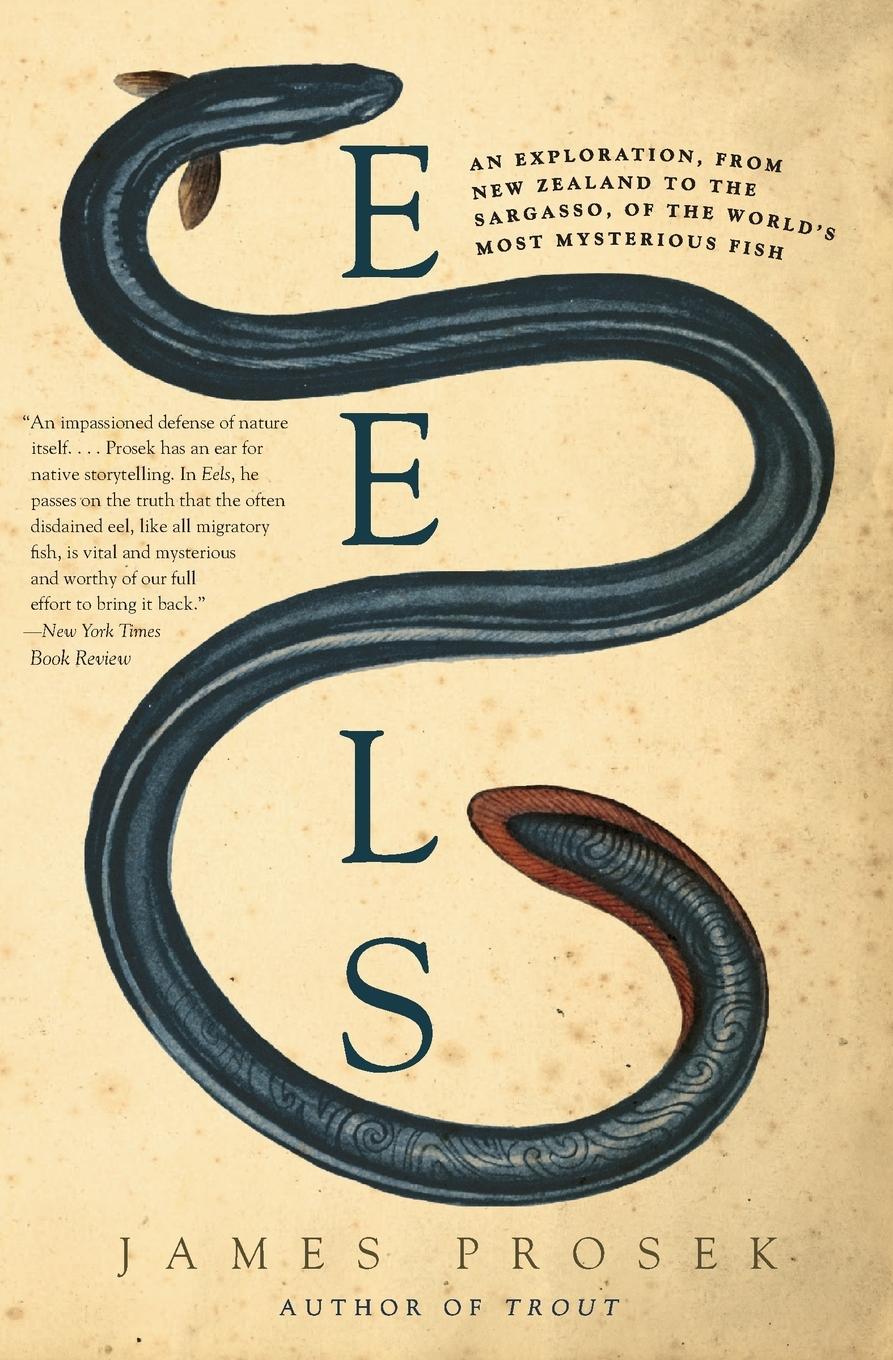 Cover: 9780060566128 | Eels | James Prosek | Taschenbuch | Englisch | 2013 | Harper Perennial