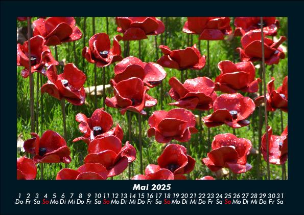 Bild: 9783755986577 | Blumenkalender 2025 Fotokalender DIN A5 | Tobias Becker | Kalender