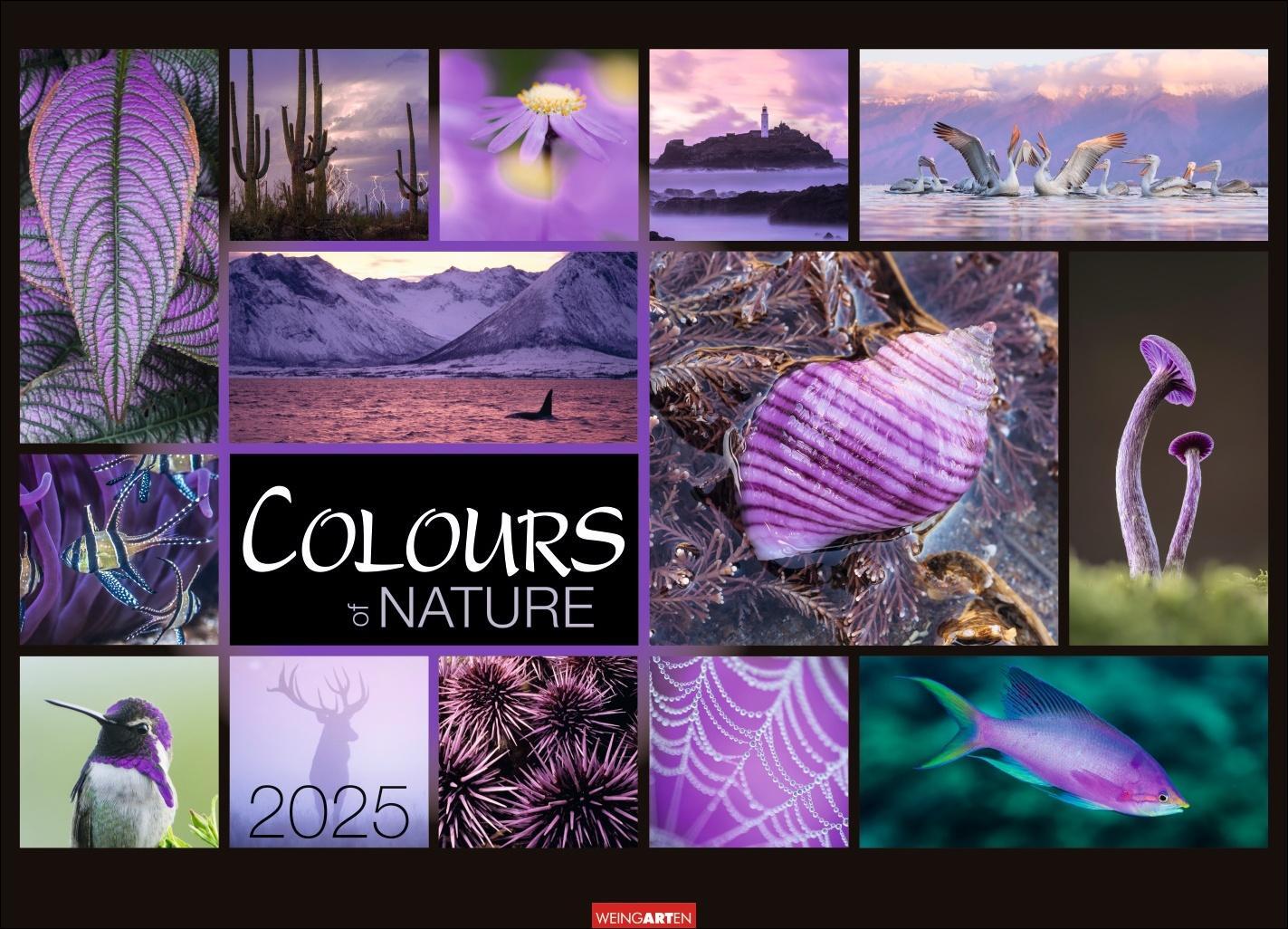 Cover: 9783839900888 | Colours of Nature Kalender 2025 | Kalender | Spiralbindung | 14 S.