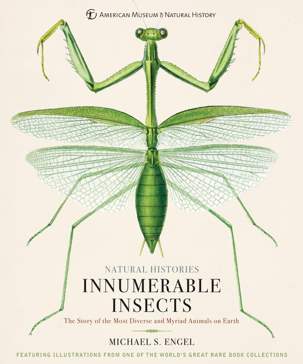 Cover: 9781454923237 | Innumerable Insects | Michael S Engel | Buch | Gebunden | Englisch