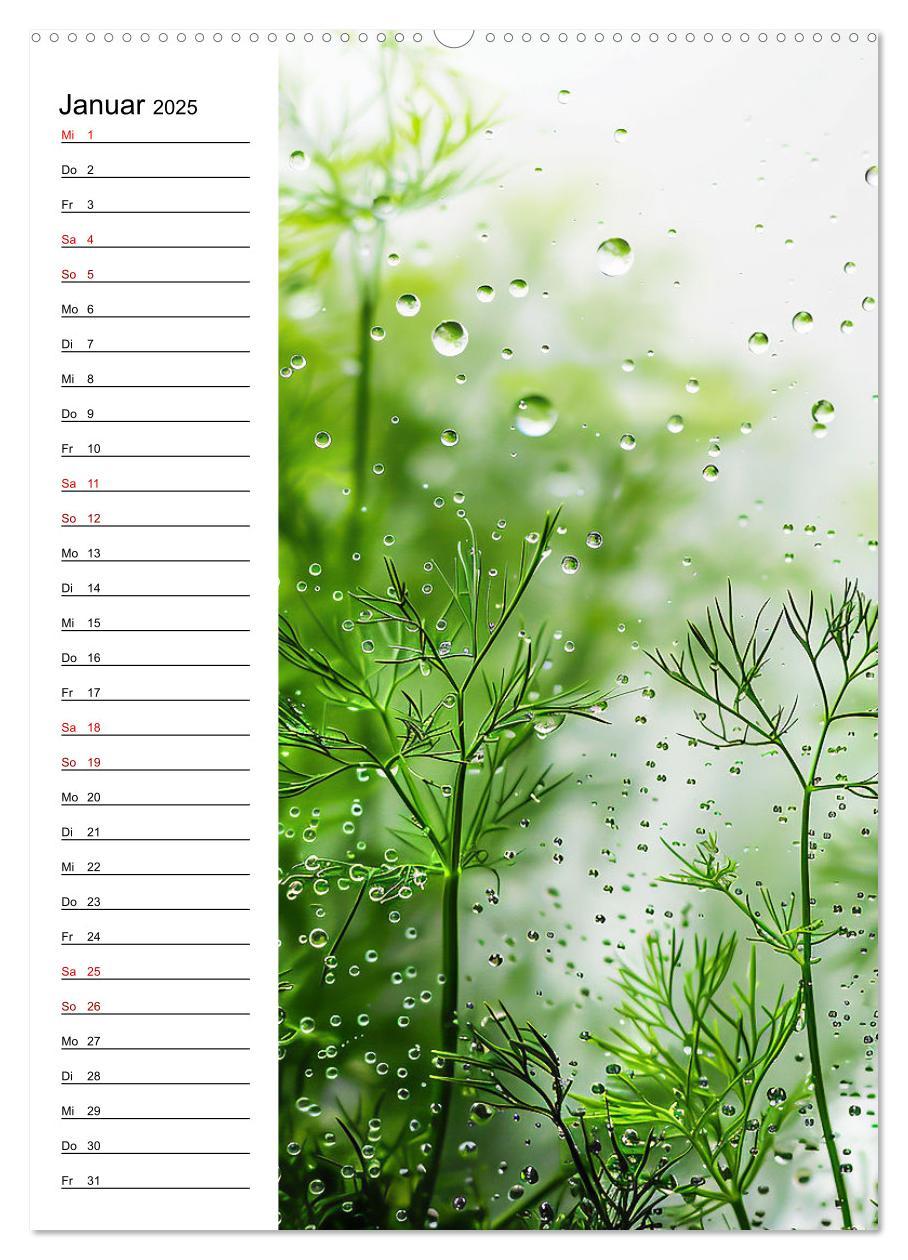 Bild: 9783457140680 | Kräuterfrische (hochwertiger Premium Wandkalender 2025 DIN A2...