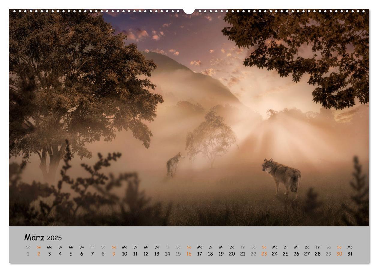 Bild: 9783435079544 | Der lange Weg der Wölfe (Wandkalender 2025 DIN A2 quer), CALVENDO...