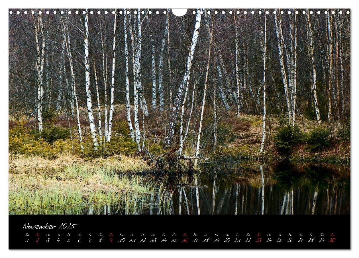 Bild: 9783435778843 | RHÖN = SCHÖN (Wandkalender 2025 DIN A3 quer), CALVENDO Monatskalender