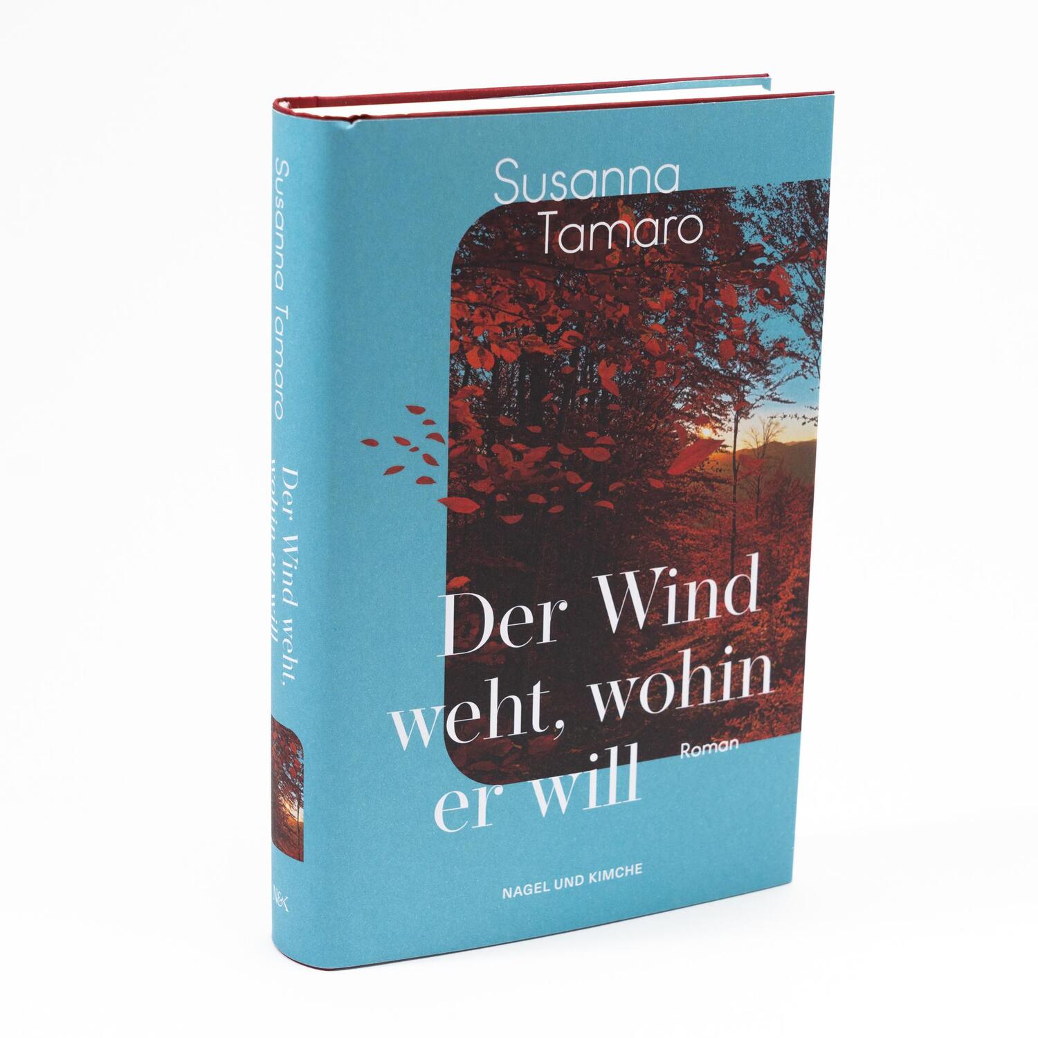 Bild: 9783312013647 | Der Wind weht, wohin er will | Susanna Tamaro | Buch | 288 S. | 2024