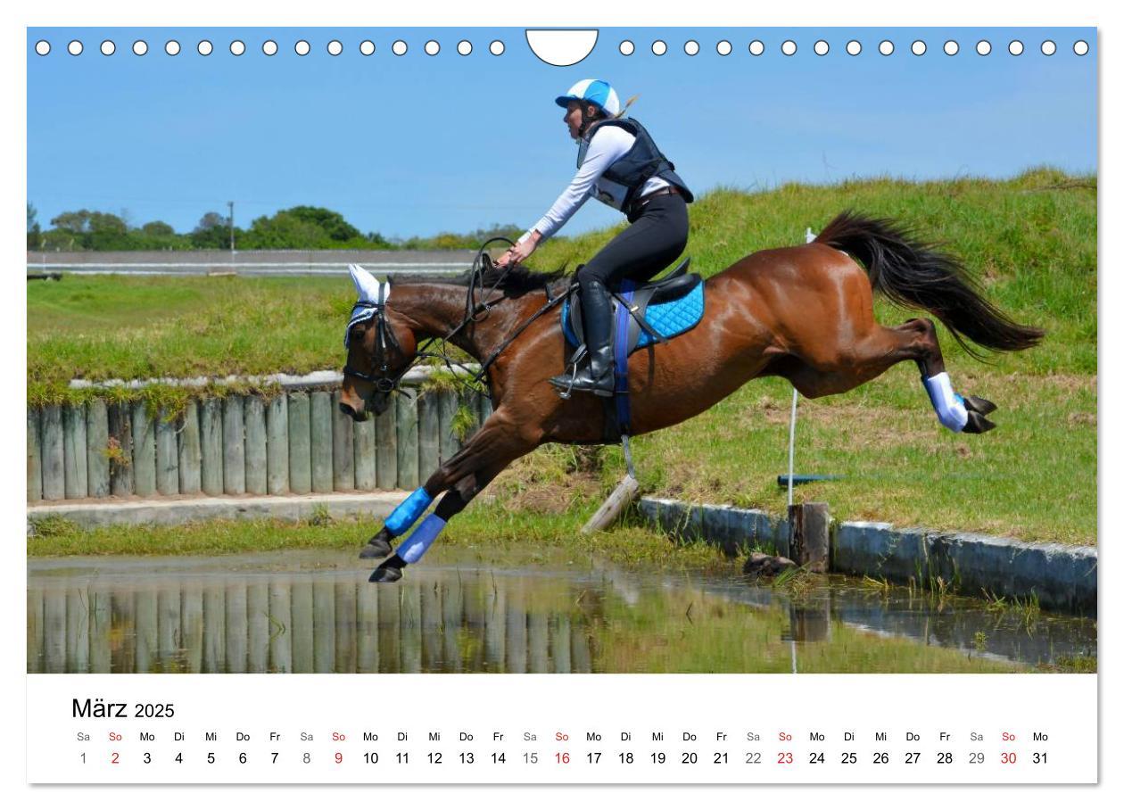 Bild: 9783435618507 | Vielseitigkeitsreiten (Wandkalender 2025 DIN A4 quer), CALVENDO...