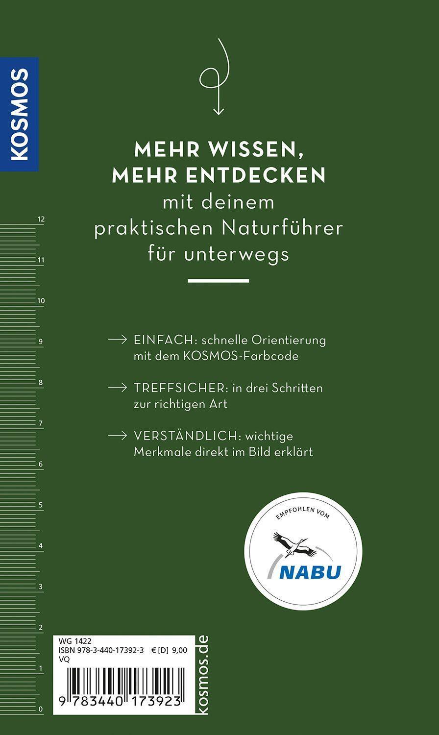 Bild: 9783440173923 | BASIC Früchte und Wildkräuter | Eva-Maria Dreyer | Taschenbuch | 2022