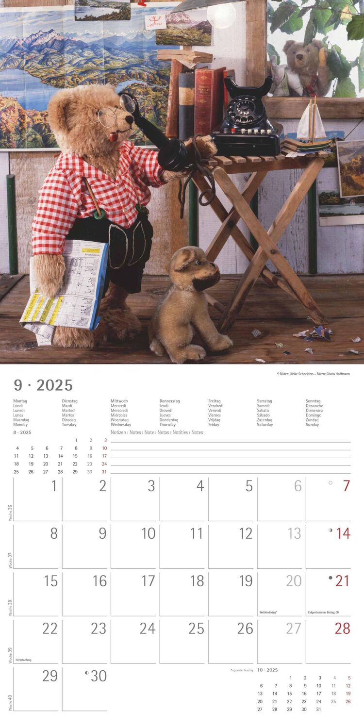 Bild: 4251732340643 | Teddy 2025 - Broschürenkalender 30x30 cm (30x60 geöffnet) -...