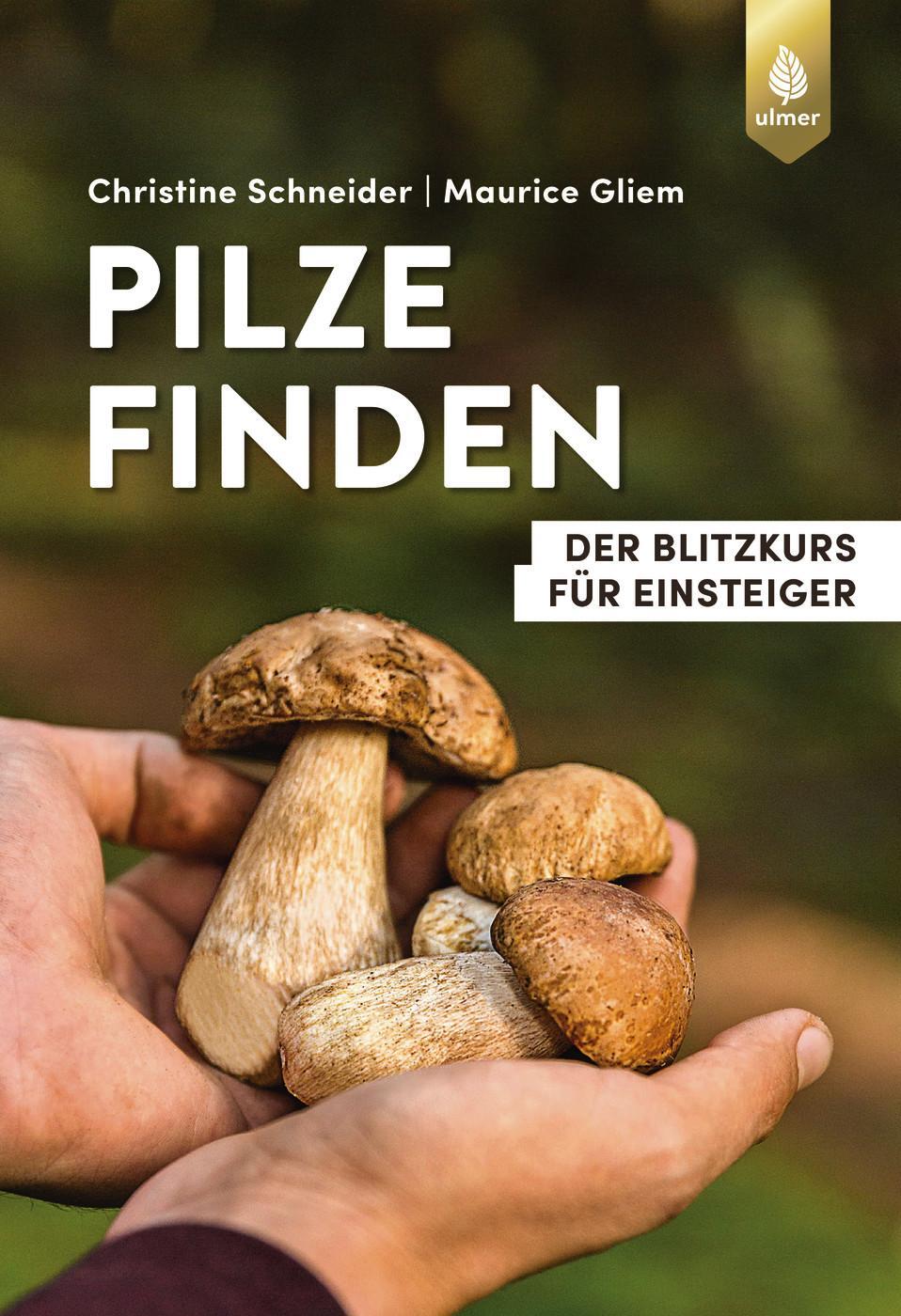 Cover: 9783818622336 | Pilze finden | Der Blitzkurs für Einsteiger | Schneider (u. a.) | Buch