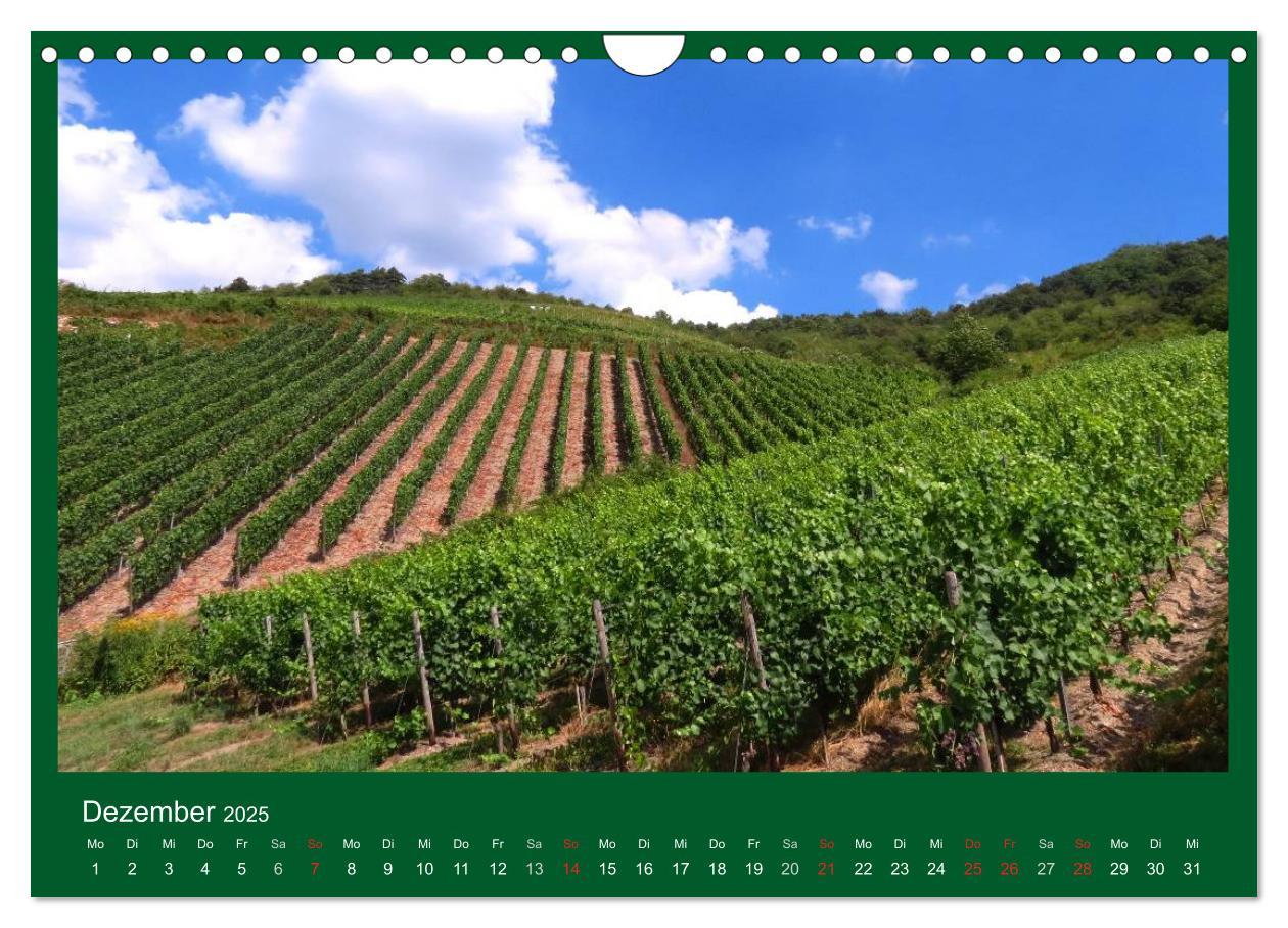 Bild: 9783435792481 | Im Rheingau (Wandkalender 2025 DIN A4 quer), CALVENDO Monatskalender