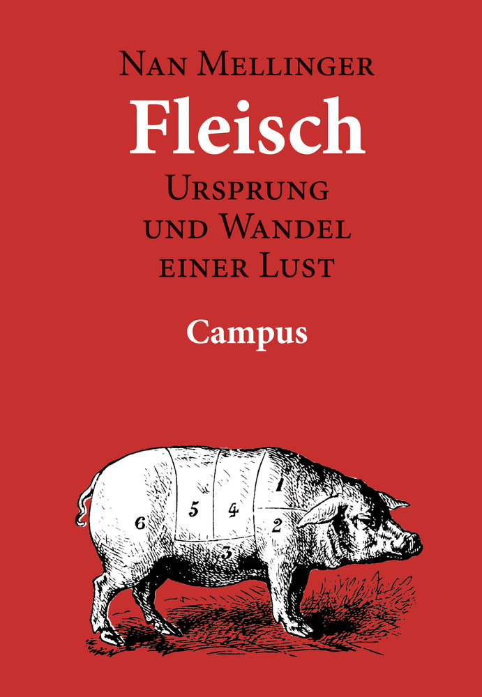 Cover: 9783593366418 | Fleisch | Nan Mellinger | Taschenbuch | 199 S. | Deutsch | 2003