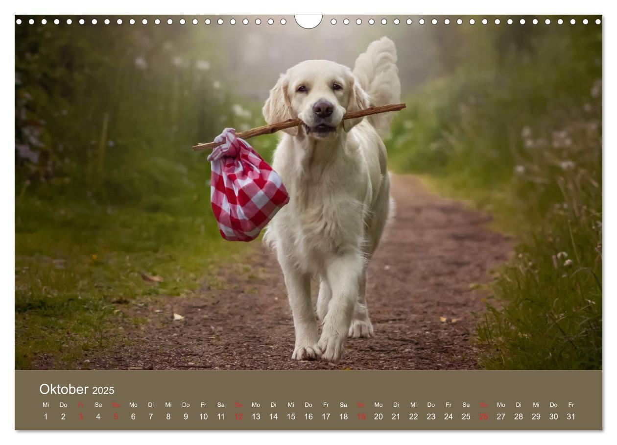 Bild: 9783435153480 | Grace und Cuba - Das verrückte Leben der Golden Girls (Wandkalender...