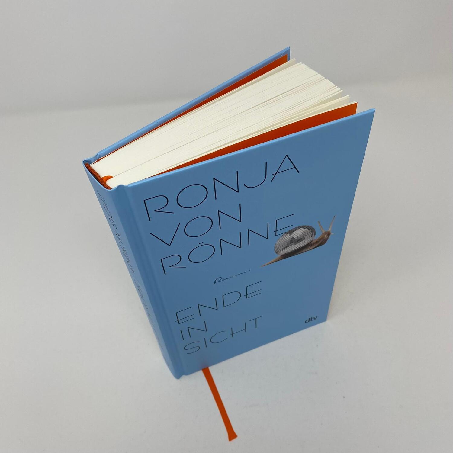 Bild: 9783423282918 | Ende in Sicht | Roman | Ronja von Rönne | Buch | 252 S. | Deutsch