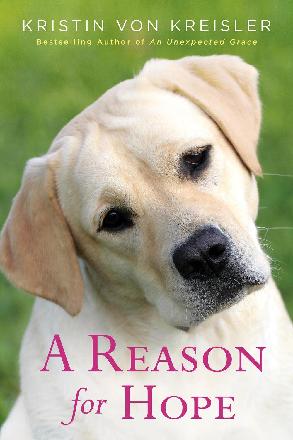 Cover: 9781496737335 | A Reason for Hope | Kristin Von Kreisler | Taschenbuch | Englisch