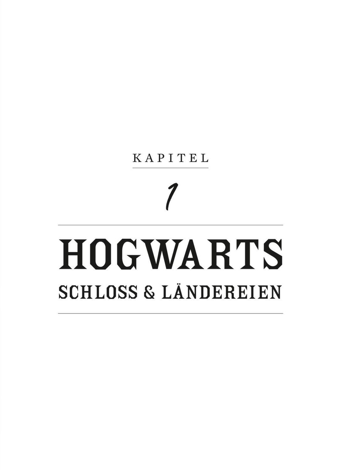 Bild: 9783845520360 | Aus den Filmen von Harry Potter und Phantastische Tierwesen: WHO IS...