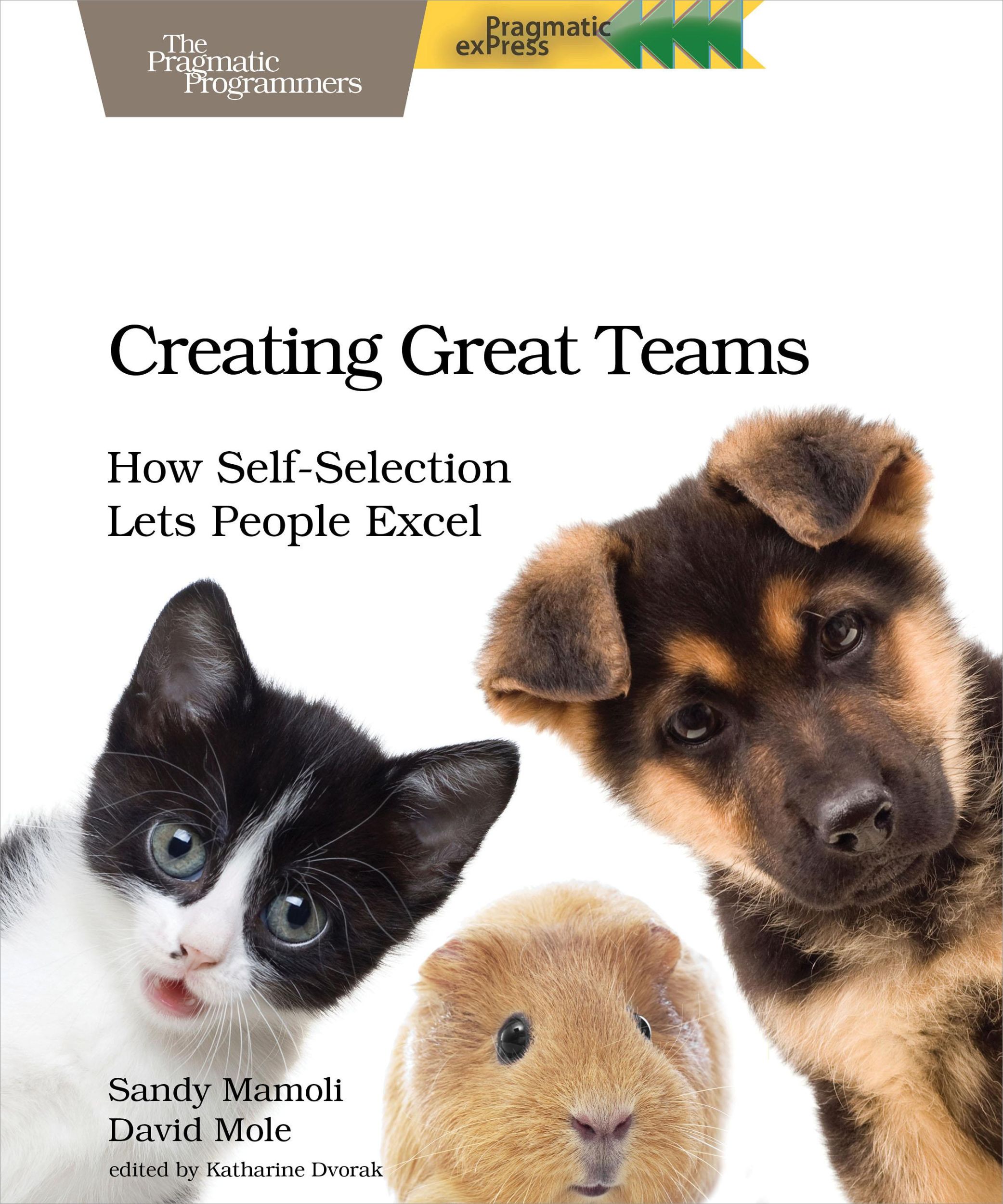 Cover: 9781680501285 | Creating Great Teams | Sandy Mamoli | Taschenbuch | Englisch | 2015