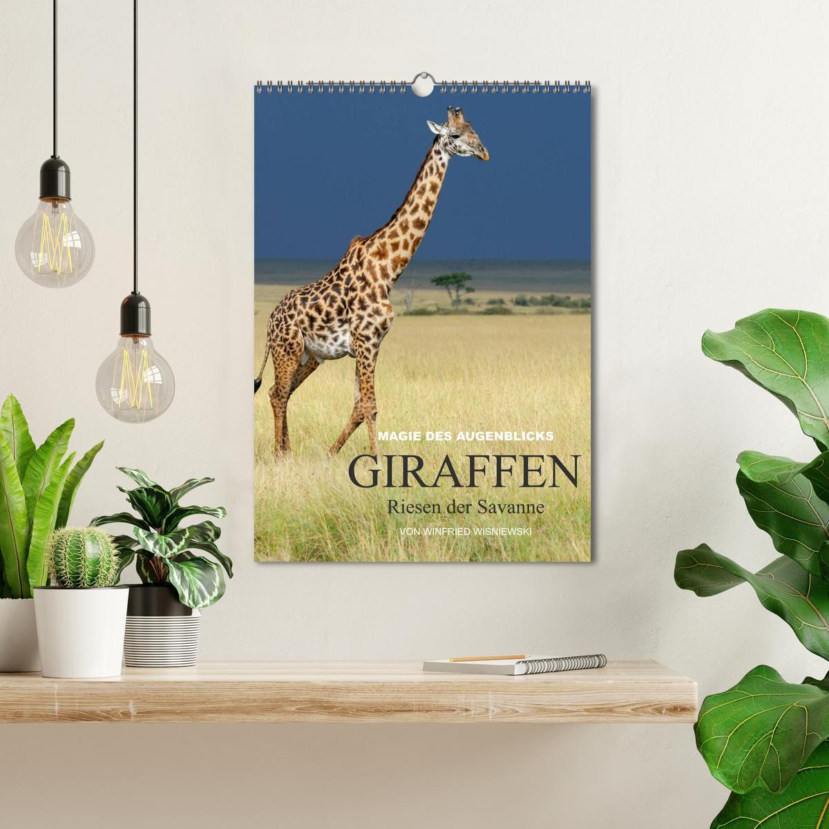 Bild: 9783457068632 | Magie des Augenblicks - Giraffen - Riesen der Savanne (Wandkalender...