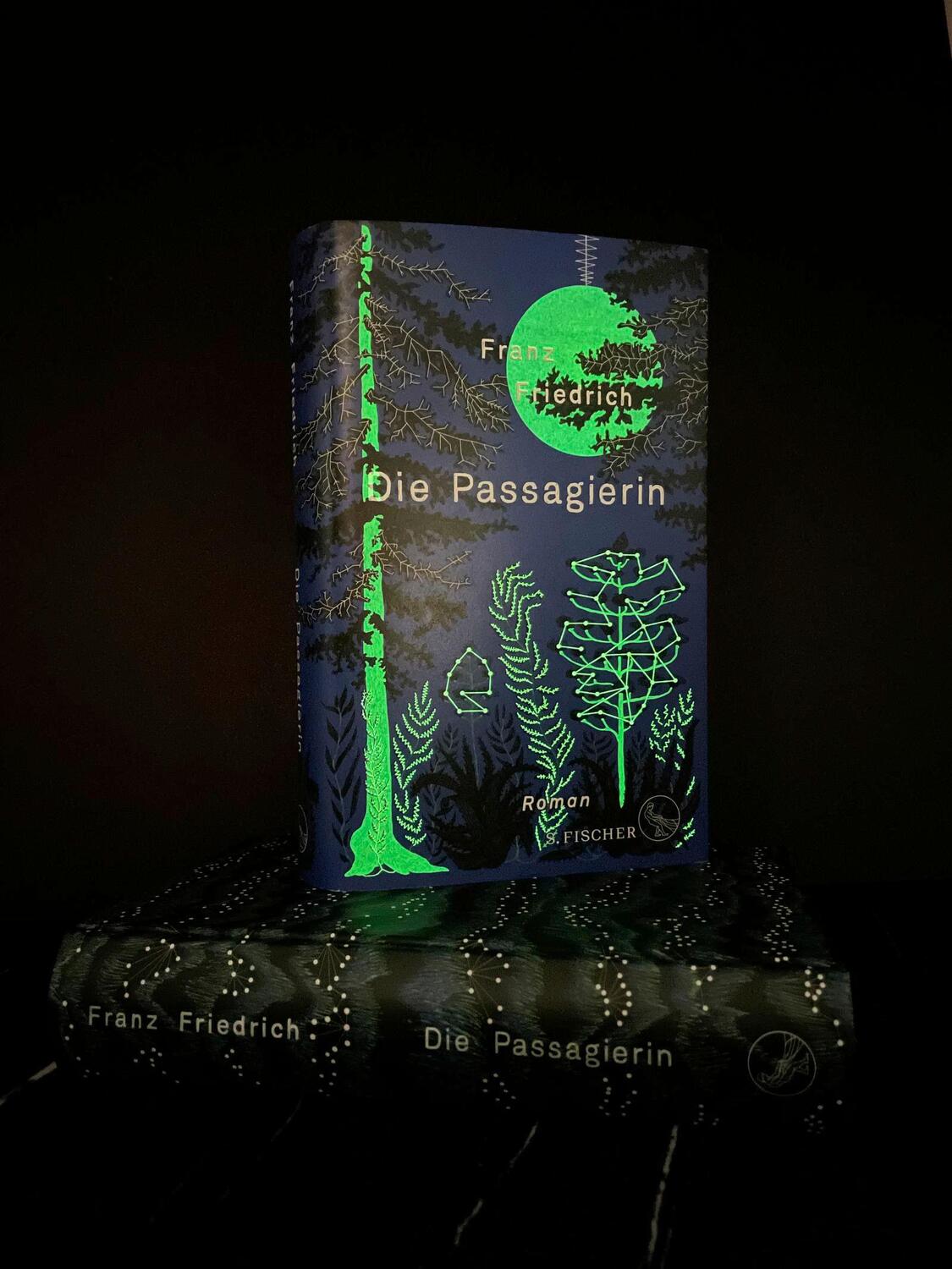 Bild: 9783103971170 | Die Passagierin | Roman | Franz Friedrich | Buch | 512 S. | Deutsch