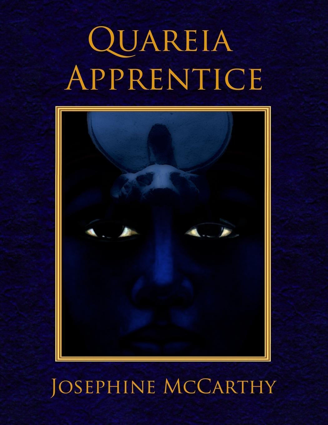 Cover: 9781911134282 | Quareia Apprentice | Josephine Mccarthy | Taschenbuch | Quareia | 2017