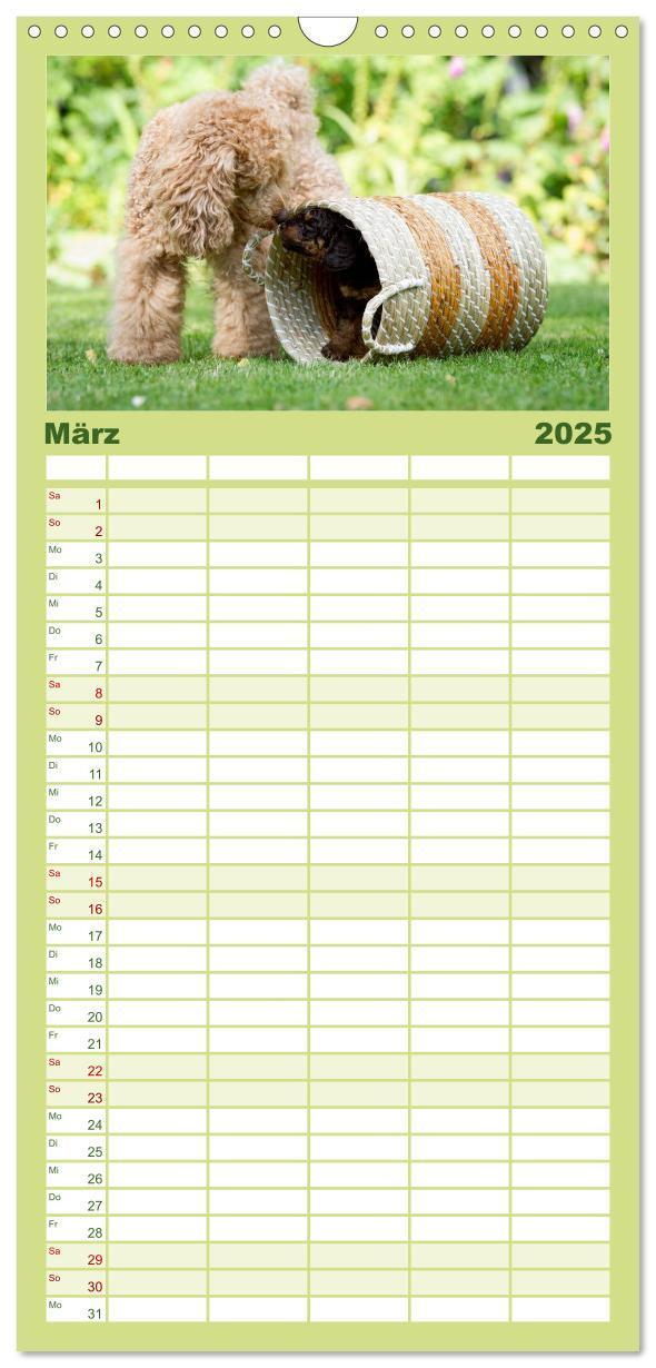 Bild: 9783457125427 | Familienplaner 2025 - Pudel mit 5 Spalten (Wandkalender, 21 x 45...