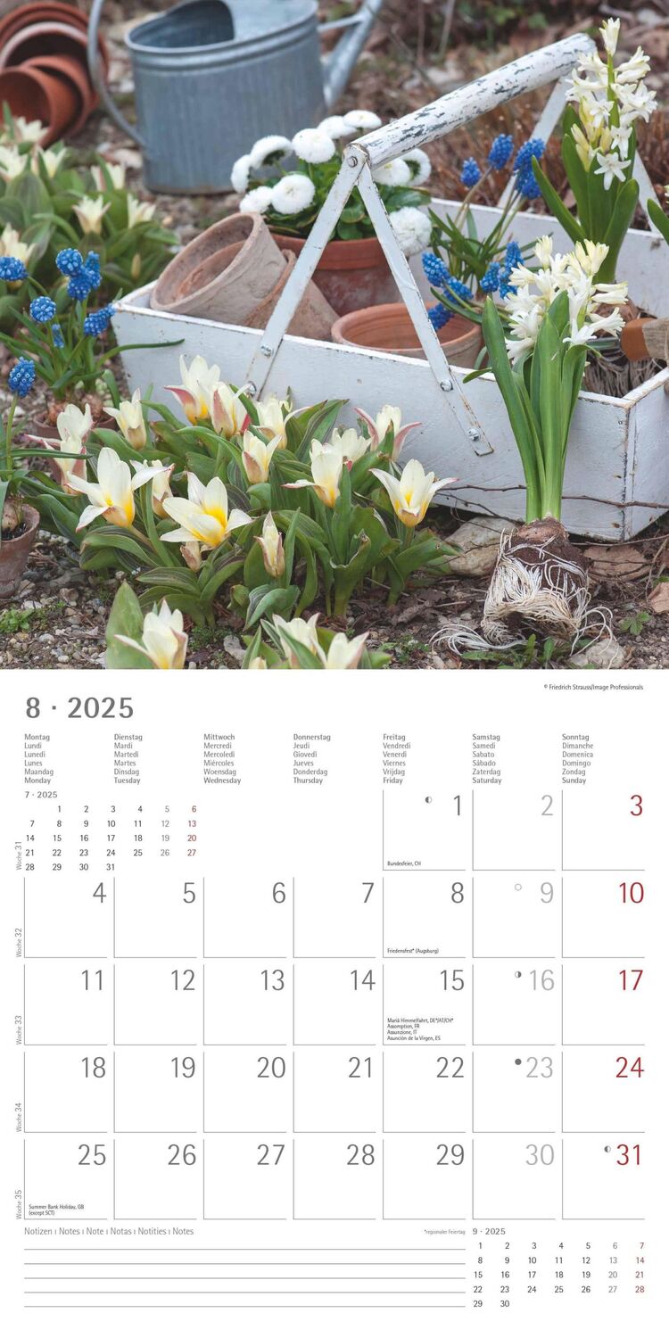 Bild: 4251732340636 | Garden &amp; Decoration 2025 - Broschürenkalender 30x30 cm (30x60...