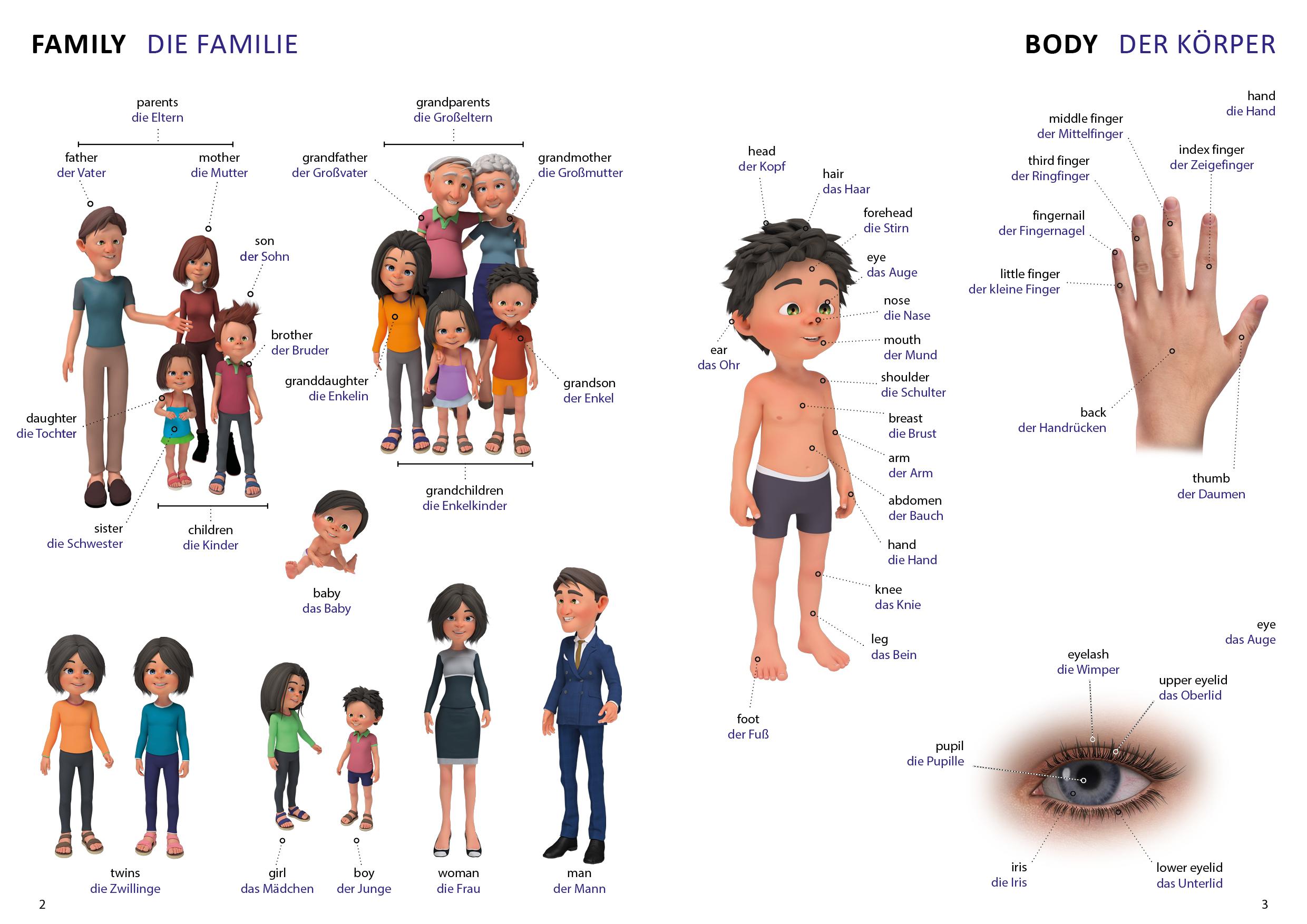 Bild: 9783898947701 | Bildwörterbuch für Kinder und Eltern Englisch-Deutsch | Igor Jourist