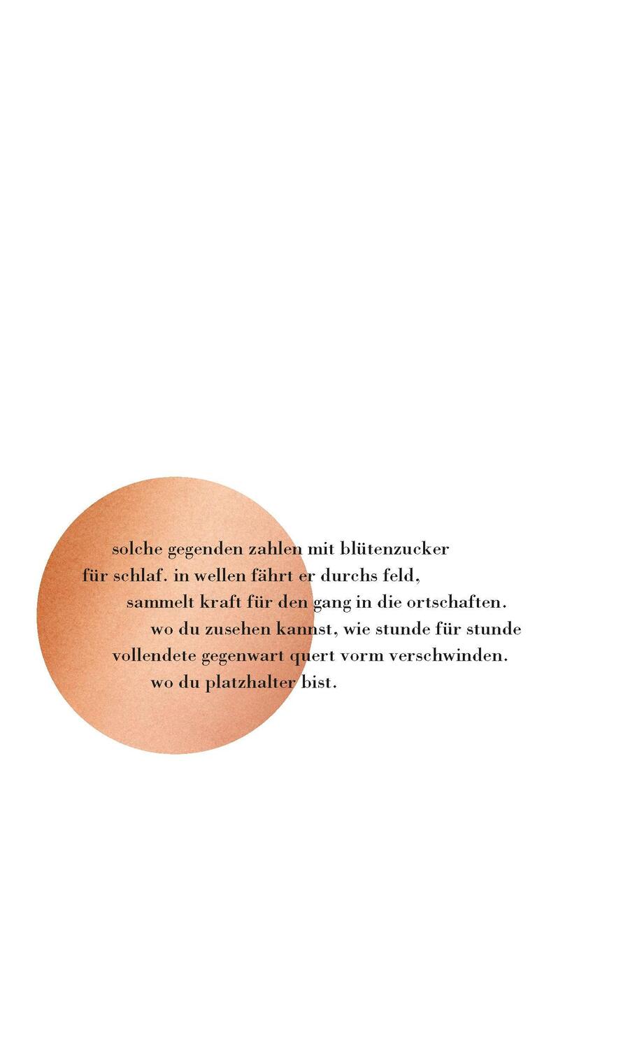 Rückseite: 9783462053906 | sommerschaums ernte | gedichte | Kathrin Schmidt | Buch | 112 S.