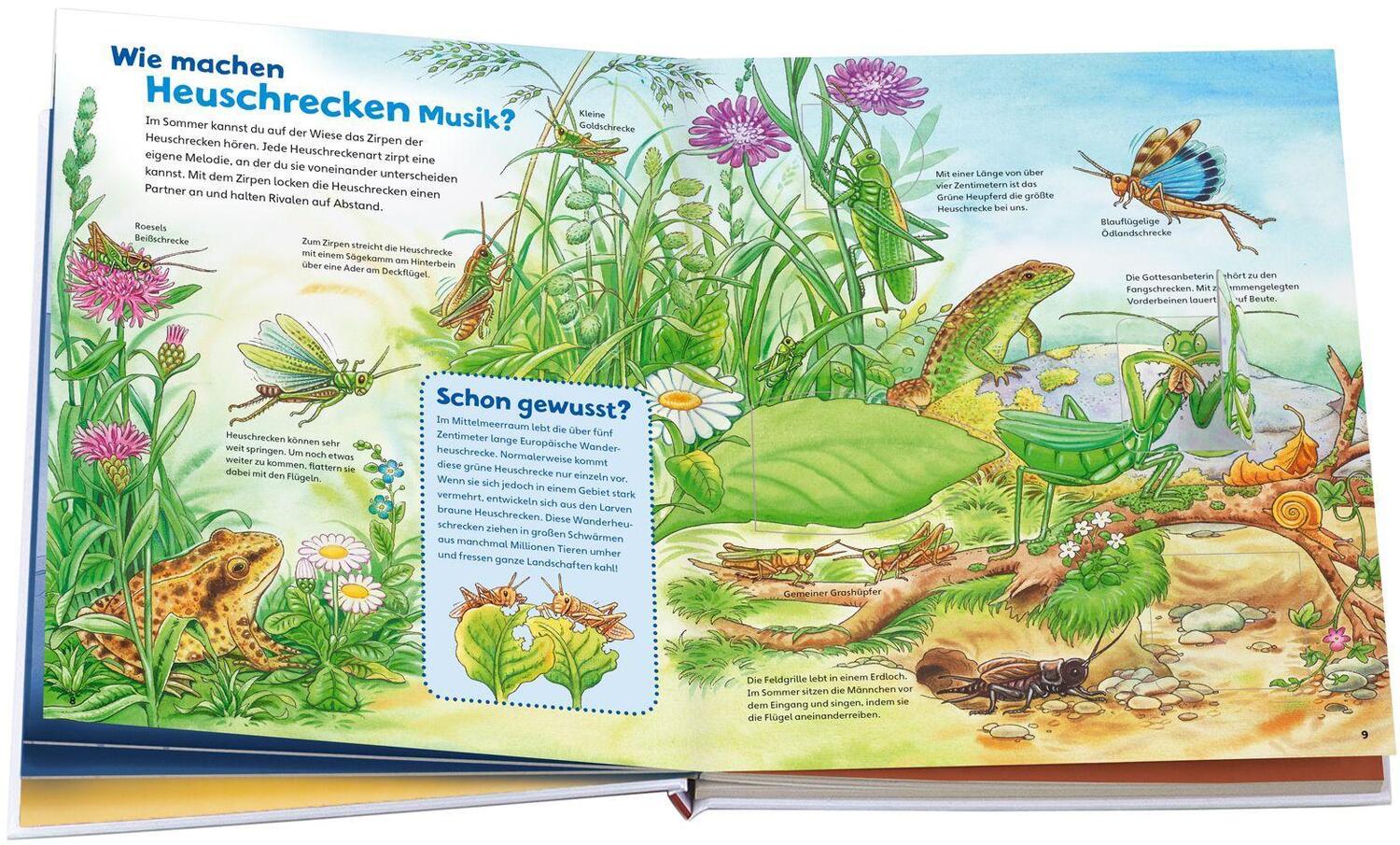 Bild: 9783788622251 | WAS IST WAS Junior Band 33. Insekten | Bärbel Oftring | Buch | 20 S.