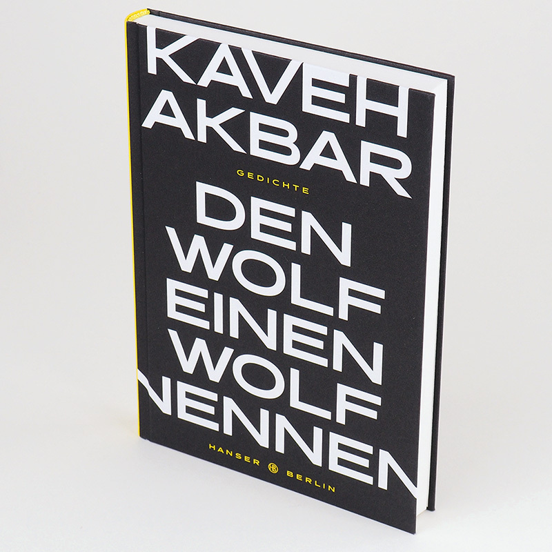 Bild: 9783446269354 | Den Wolf einen Wolf nennen | Kaveh Akbar | Buch | 192 S. | Deutsch