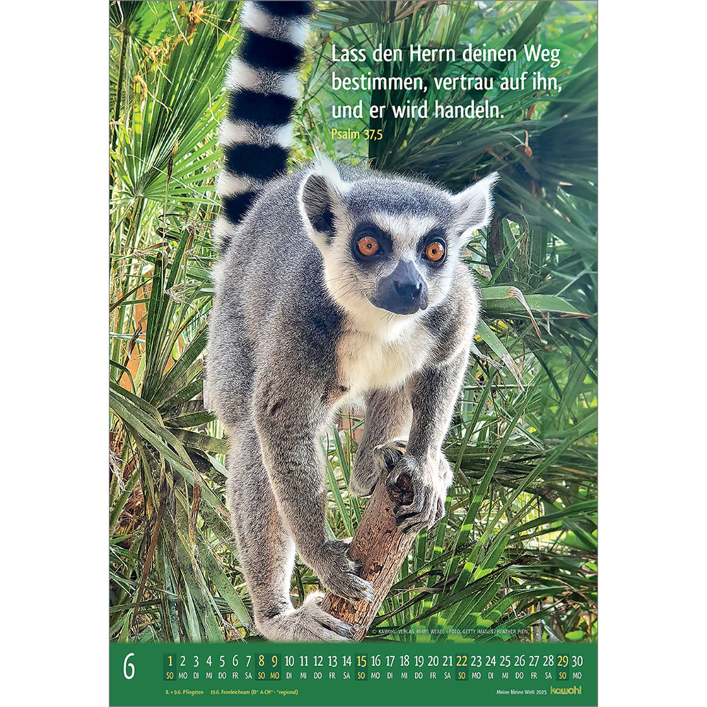 Bild: 9783754845059 | Meine kleine Welt 2025 | Tierkalender mit Bibelworten | Kalender