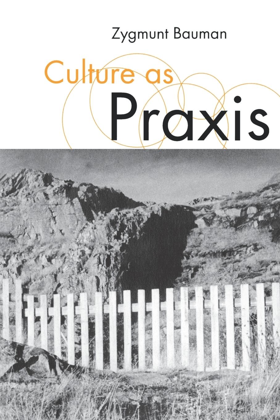 Cover: 9780761959892 | Culture as Praxis | Zygmunt Bauman | Taschenbuch | Englisch | 1998