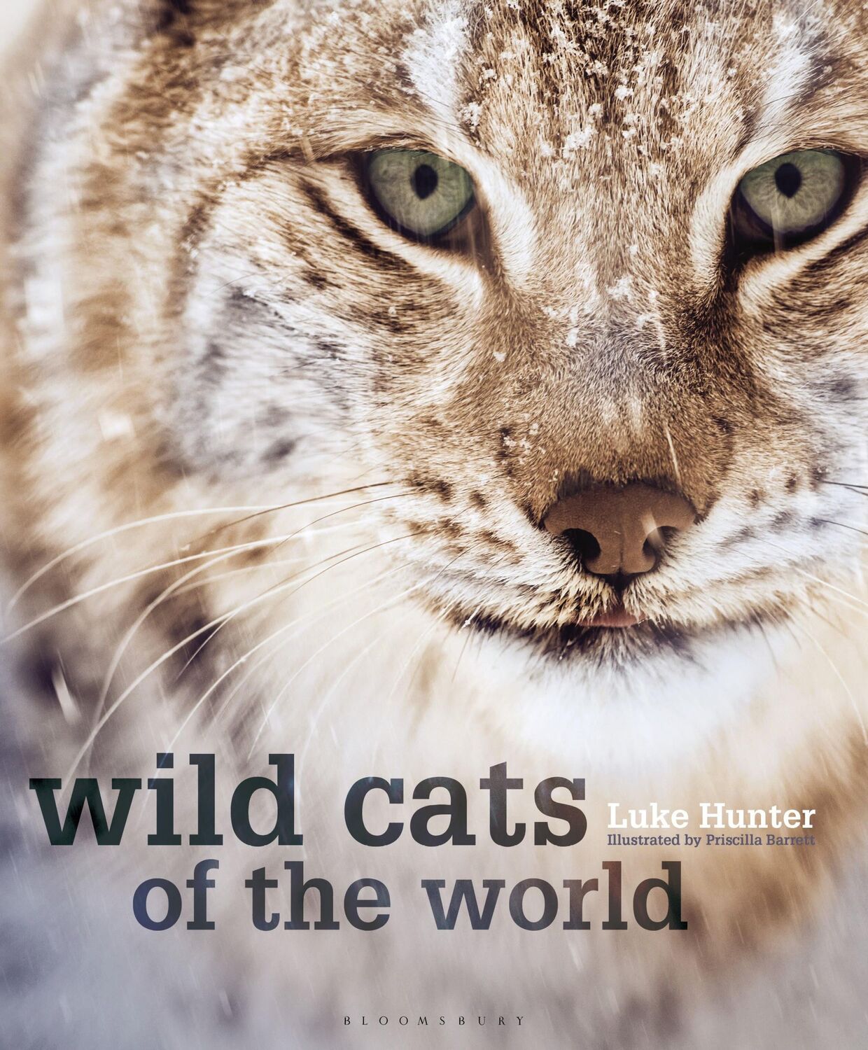 Cover: 9781472968265 | Wild Cats of the World | Luke Hunter | Buch | Englisch | 2019