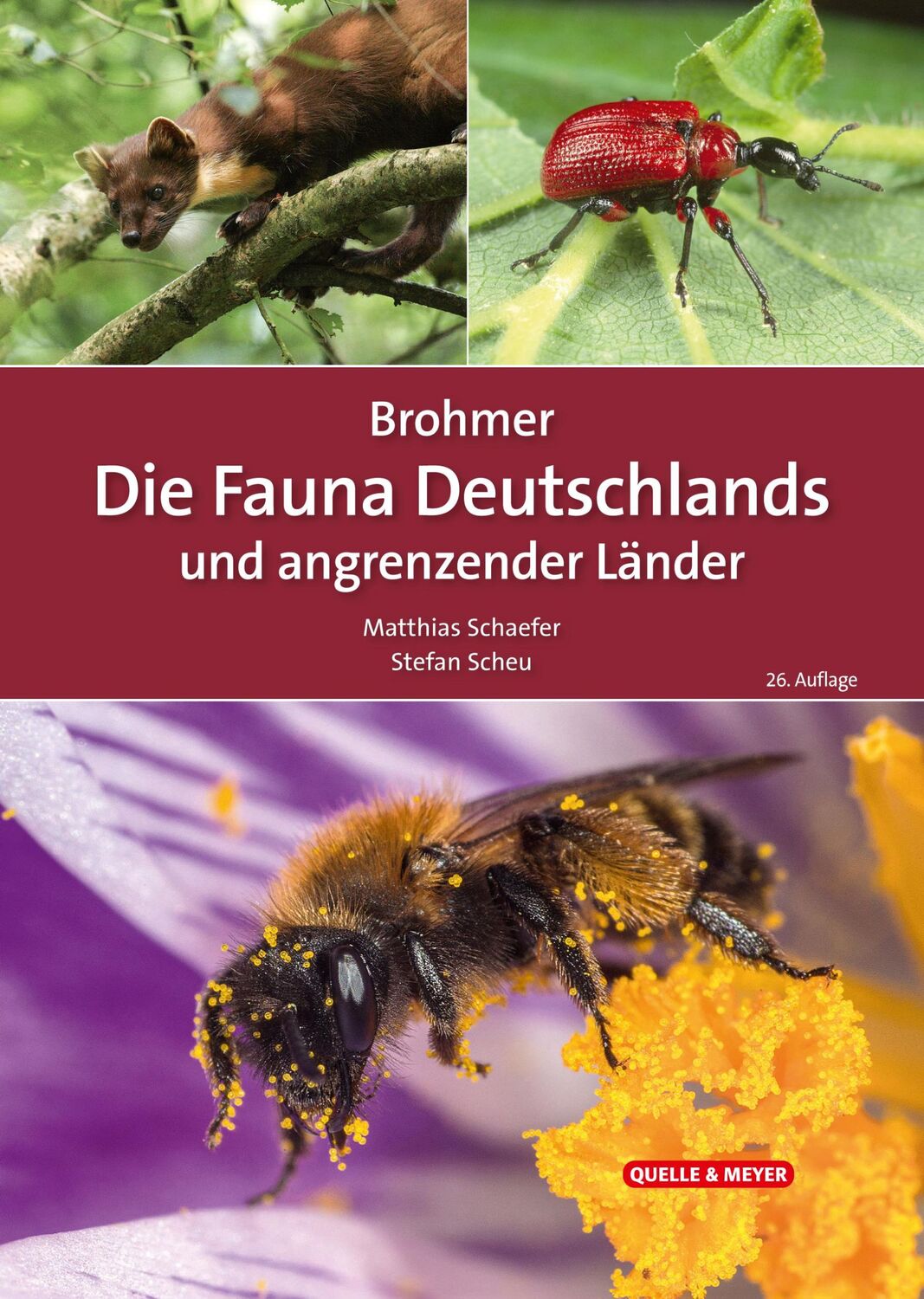 Cover: 9783494019567 | Brohmer - Die Fauna Deutschlands und angrenzender Länder | Buch | 2024