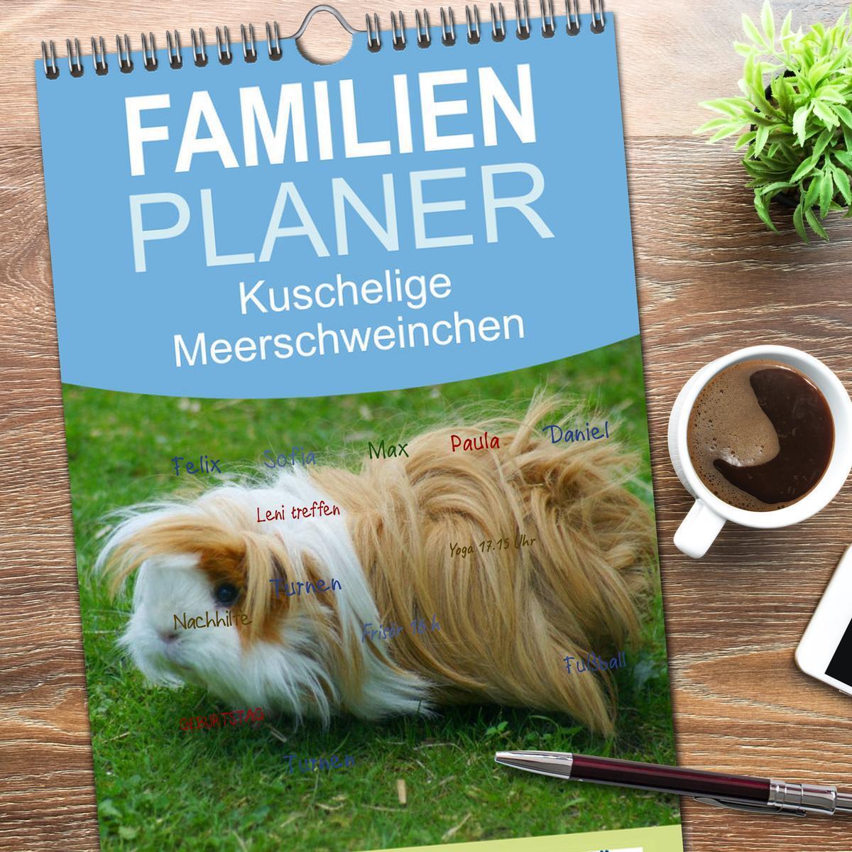 Bild: 9783457126400 | Familienplaner 2025 - Kuschelige Meerschweinchen mit 5 Spalten...